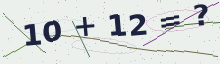 Captcha matematic